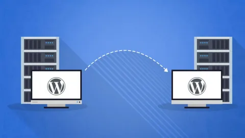 Wordpress Hosting Taşıma İşlemi 2024